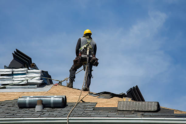 Professional Roof Replacement technician working in Barrett, MN